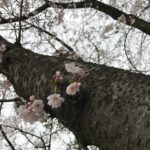 聞くことは大切です☆