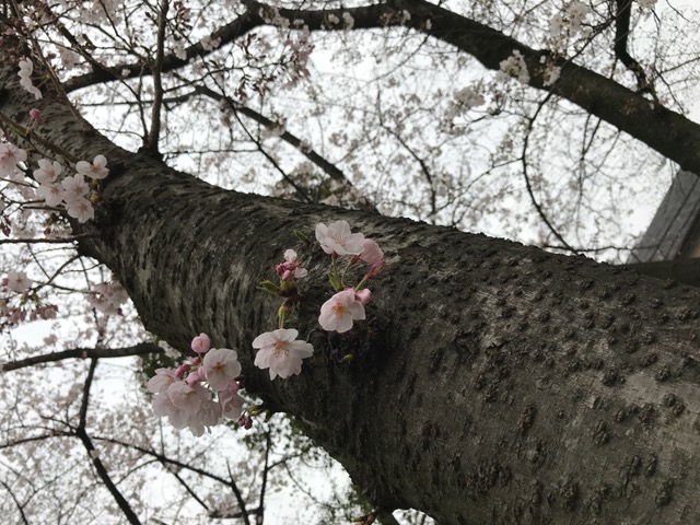 聞くことは大切です☆