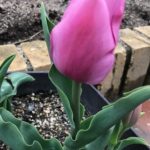 理想のお相手と結婚したい☆条件を譲れないあなたへ