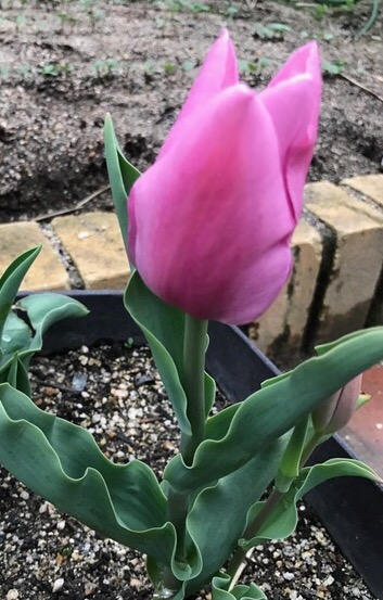 理想のお相手と結婚したい☆条件を譲れないあなたへ