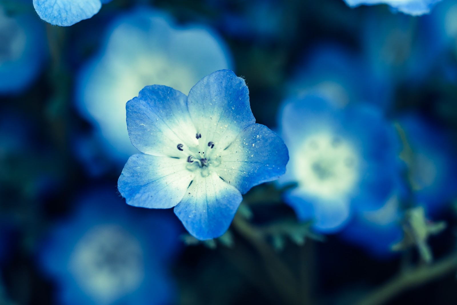 月曜日、一週間が始まります☆