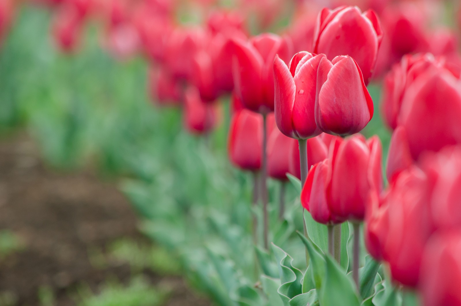 こんな風になりたい☆