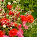 男性向け婚活ヘアスタイル☆