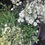 「聞く力」第3弾☆相づち・反応について