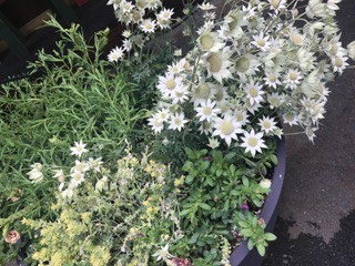 「聞く力」第3弾☆相づち・反応について