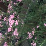 婚活が苦手な人も☆