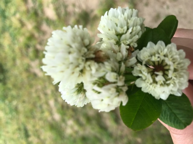 褒め上手になりましょう☆