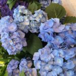 お見合い場所を選ぶとき☆