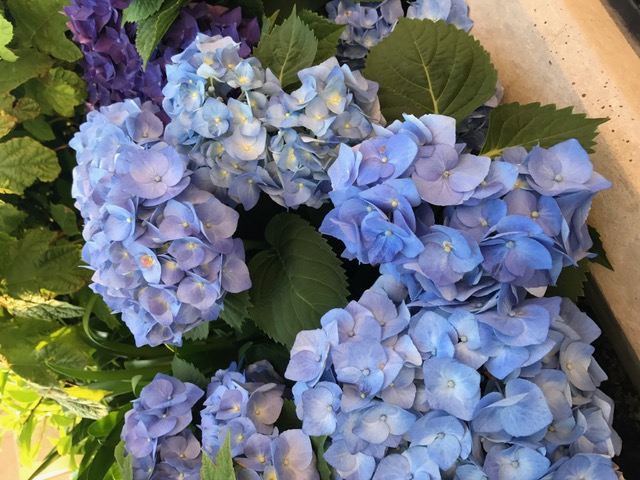 お見合い場所を選ぶとき☆