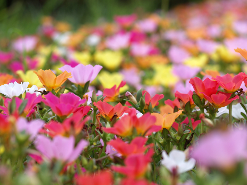 婚活ファッション☆